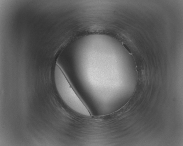X0000075410508200609081005