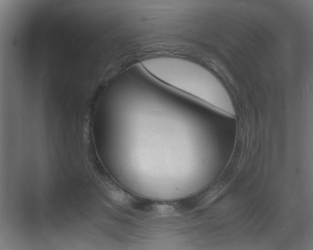 X0000075410509200609081005