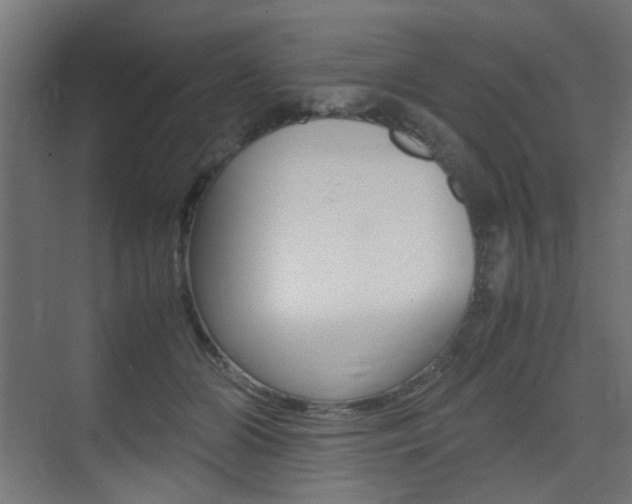 X0000075410510200609081005
