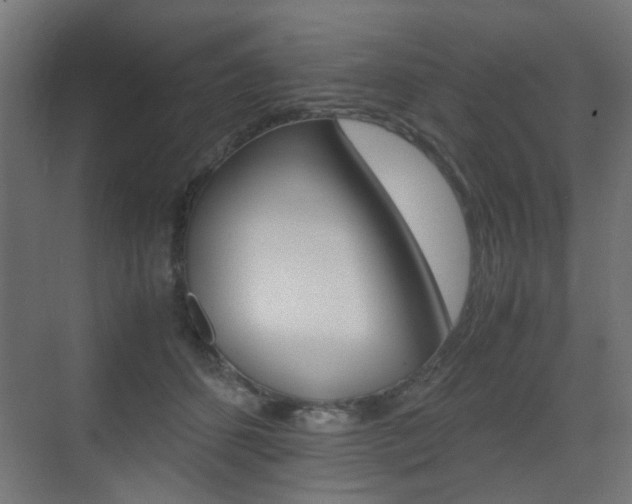 X0000075410512200609081005