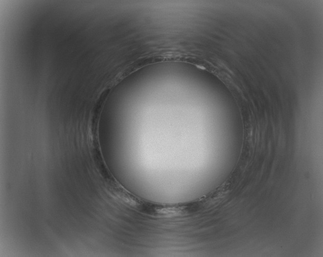 X0000075410516200609081005