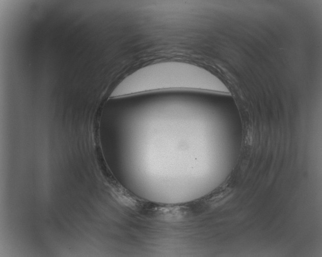 X0000075410524200609081005
