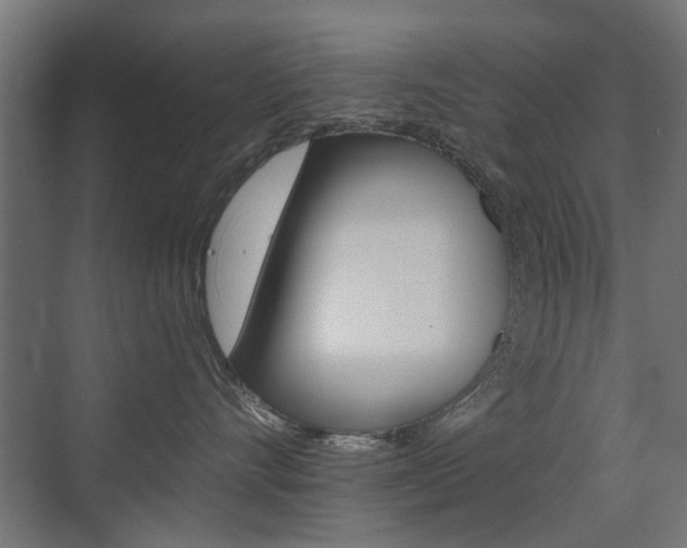 X0000075410528200609081005