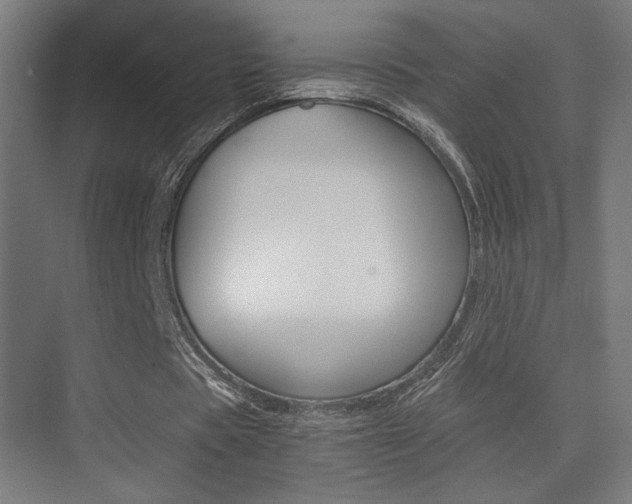 X0000075410529200609081004