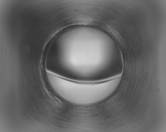 X0000075410532200609081004