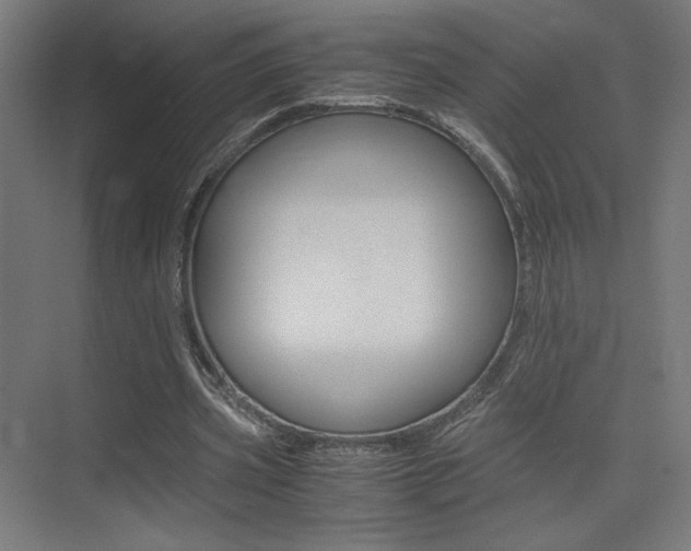 X0000075410533200609081004