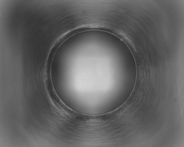 X0000075410536200609081004