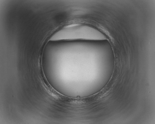 X0000075410537200609081004