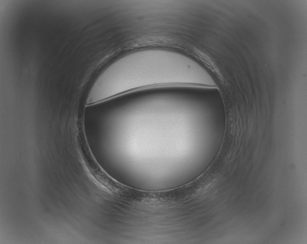 X0000075410538200609081004