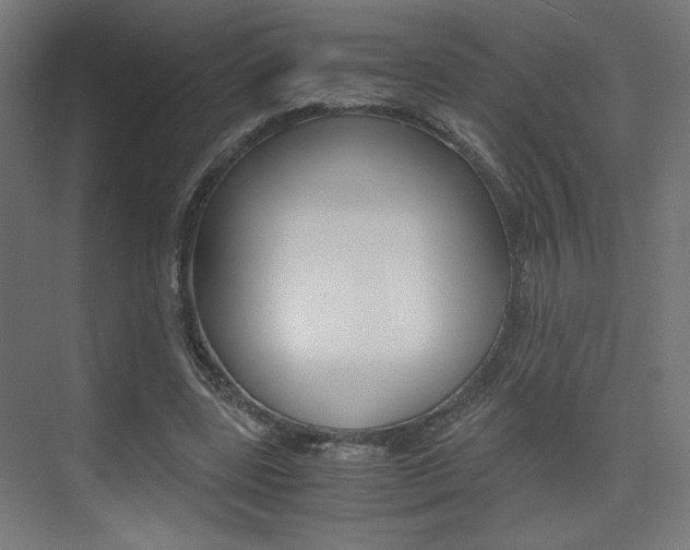 X0000075410539200609081004