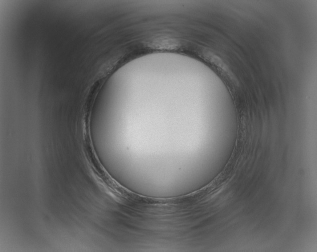 X0000075410541200609081004