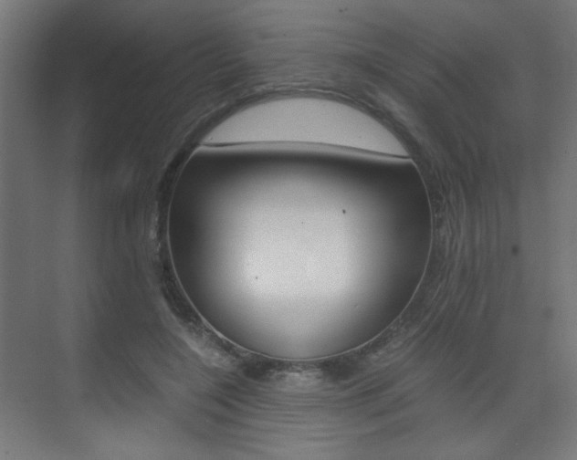 X0000075410548200609081004