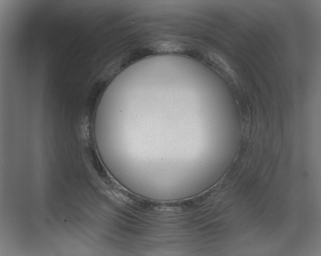 X0000075410549200609081004