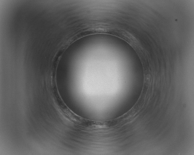 X0000075410552200609081004