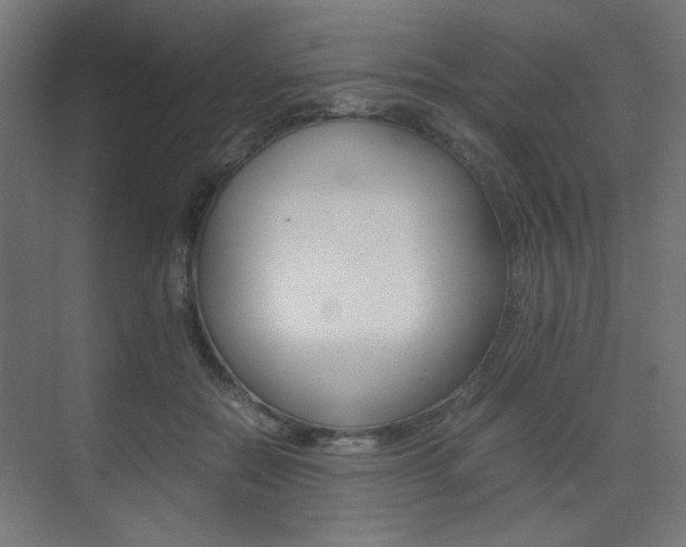 X0000075410554200609081004
