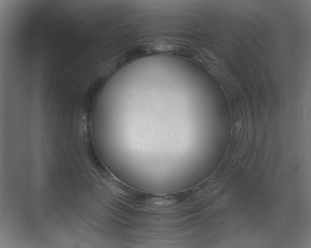 X0000075410555200609081004