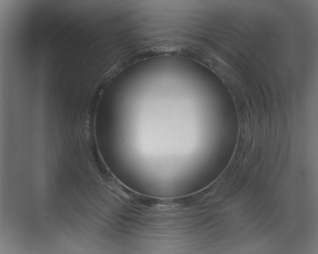 X0000075410556200609081004