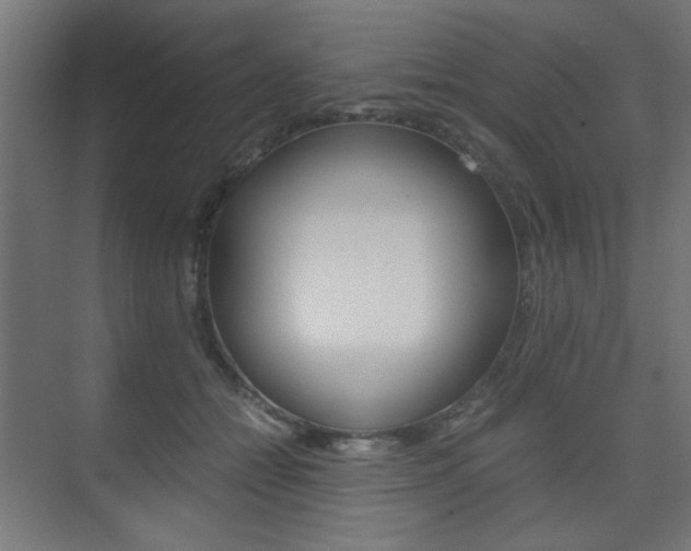 X0000075410558200609081004