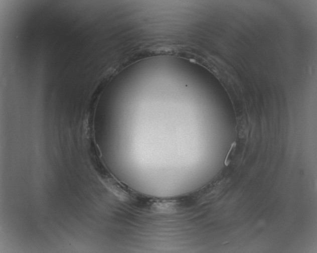 X0000075410560200609081004