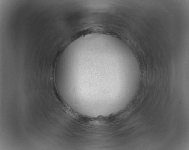 X0000075410561200609081004