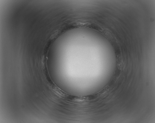 X0000075410563200609081005