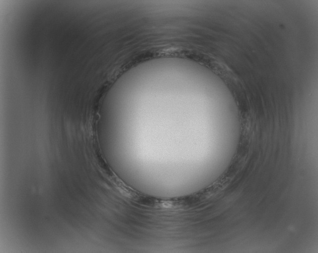 X0000075410565200609081005