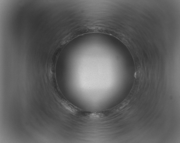 X0000075410566200609081005