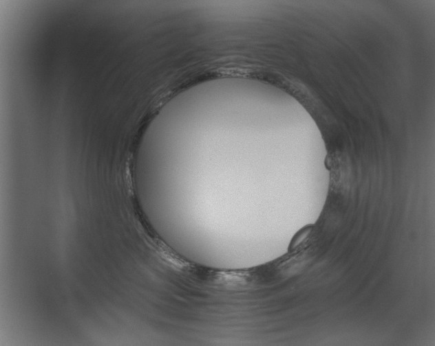 X0000075410573200609081005