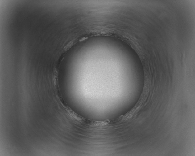 X0000075410576200609081005