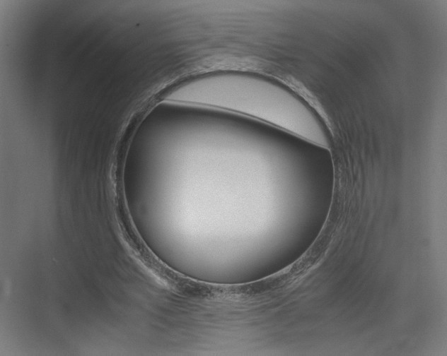 X0000075410581200609081004