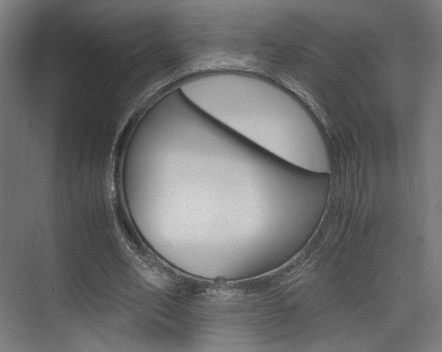 X0000075410582200609081004
