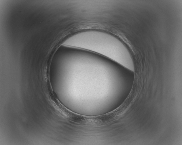 X0000075410585200609081004