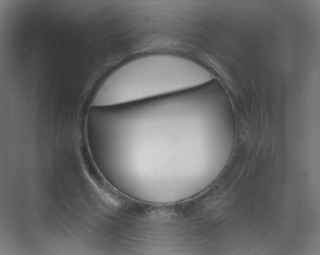 X0000075410586200609081004