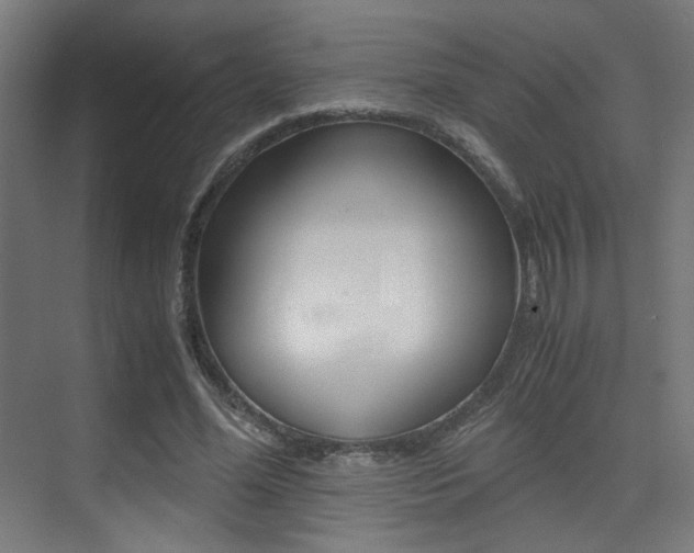 X0000075410588200609081004
