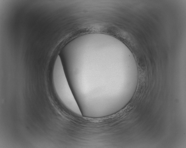 X0000075410591200609081004