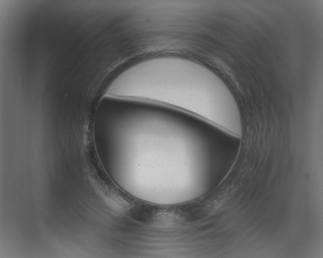 X0000075410596200609081004