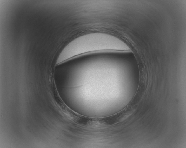 X0000075410597200609081004
