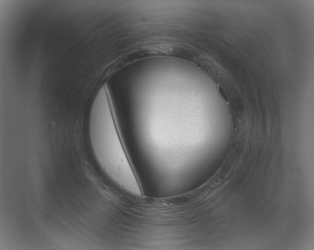 X0000075410600200609081004