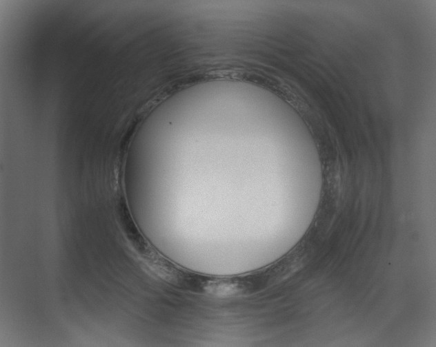 X0000075410602200609081003