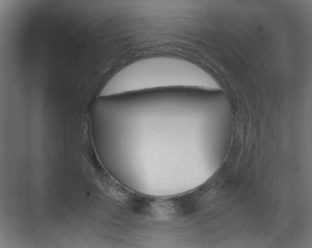 X0000075410603200609081003