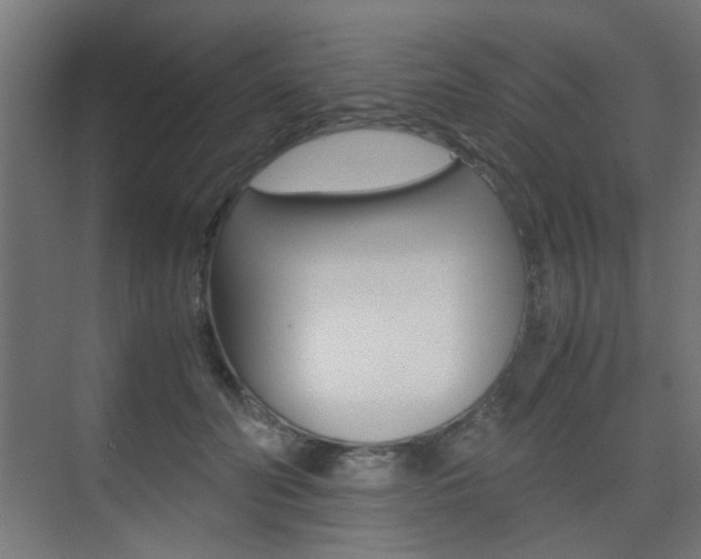 X0000075410606200609081003