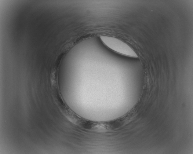 X0000075410611200609081003