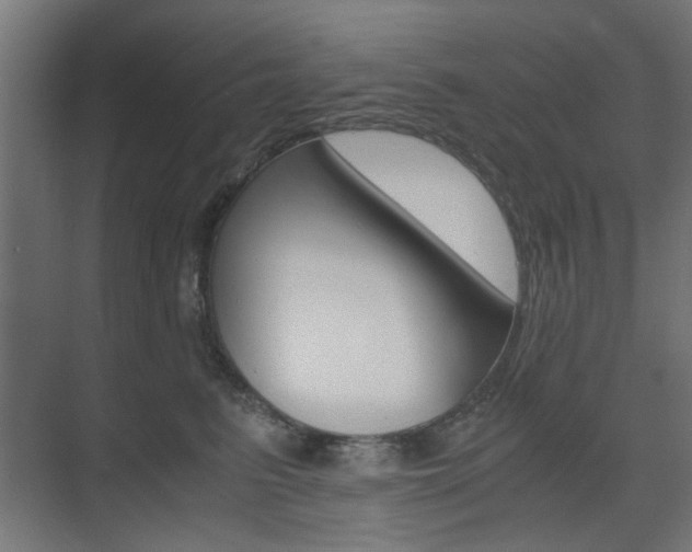 X0000075410615200609081003