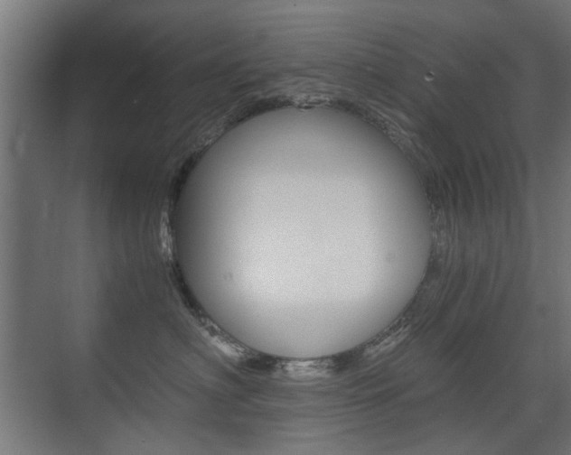 X0000075410622200609081003