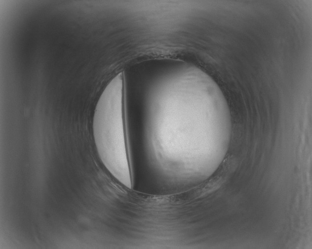 X0000075410624200609081003