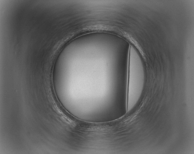X0000075410625200609081002