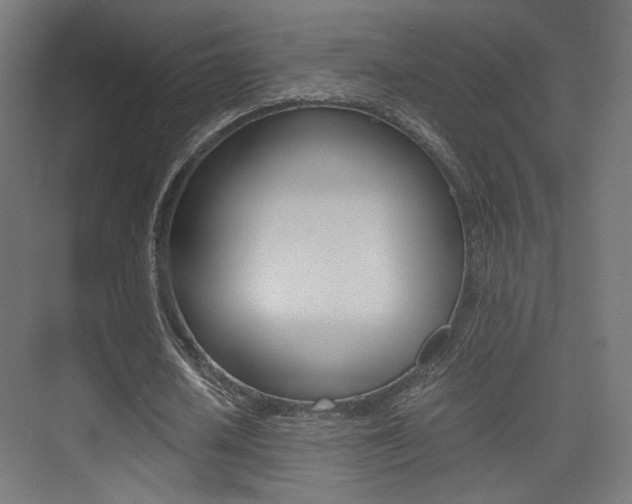 X0000075410626200609081002