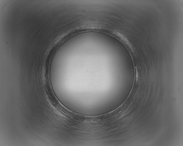 X0000075410627200609081002