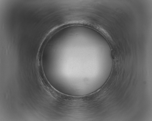 X0000075410628200609081002