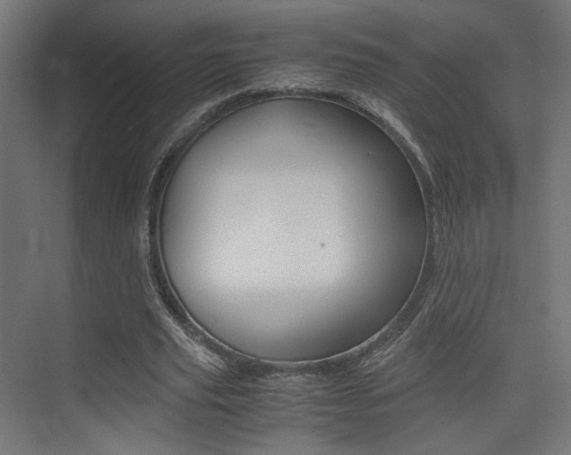X0000075410629200609081002